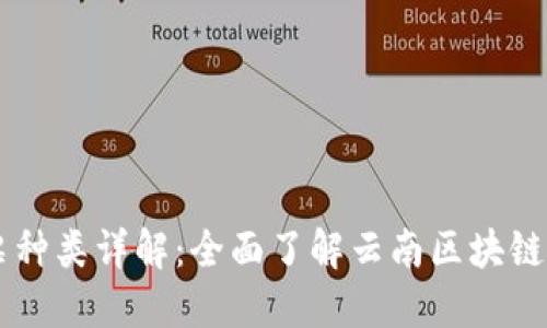 云南区块链发票种类详解：全面了解云南区块链发票类型与应用