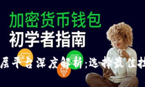 区块链底层平台深度解析：选择最佳技术的指南