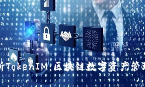 全面解析TokenIM：区块链数字资产管理新选择