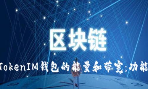 深入了解TokenTokenIM钱包的能量和带宽：功能解析与最佳实践