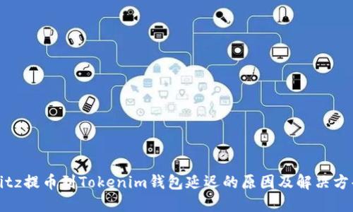 Bitz提币到Tokenim钱包延迟的原因及解决方案