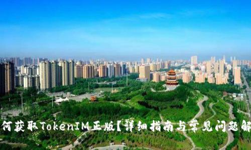 如何获取TokenIM正版？详细指南与常见问题解答