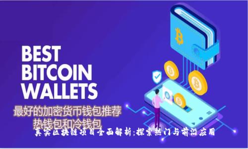 真实区块链项目全面解析：探索热门与前沿应用