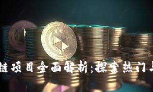 真实区块链项目全面解析：探索热门与前沿应用
