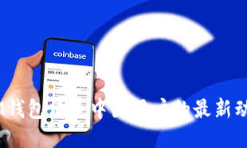 TokenTokenIM钱包清退中国用户的最新动态与应对策略