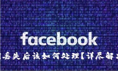 Tokenim钱包密钥丢失后该如何处理？详尽解决方案与预防措施