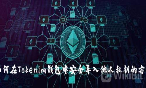 如何在Tokenim钱包中安全导入他人私钥的方法