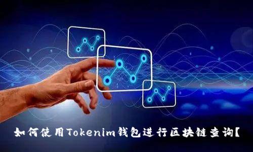 如何使用Tokenim钱包进行区块链查询？
