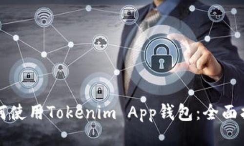 如何使用Tokenim App钱包：全面指南