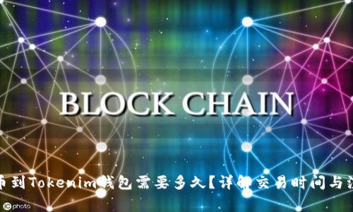 Bitz提币到Tokenim钱包需要多久？详解交易时间与注意事项