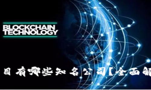 区块链合作项目有哪些知名公司？全面解析及前景展望