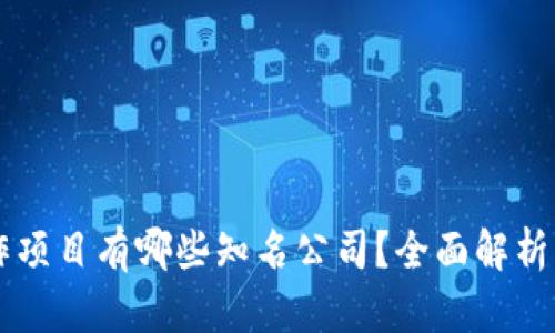 区块链合作项目有哪些知名公司？全面解析及前景展望
