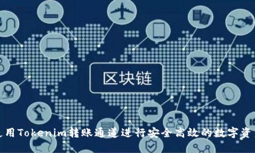 如何使用Tokenim转账通道进行安全高效的数字资产转移