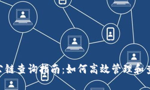 Tokenim钱包公链查询指南：如何高效管理和查询区块链资产
