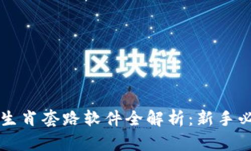 区块链生肖套路软件全解析：新手必看指南