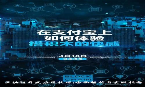 区块链开发应用技巧：全面解析与实战指南