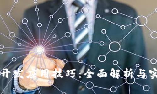区块链开发应用技巧：全面解析与实战指南