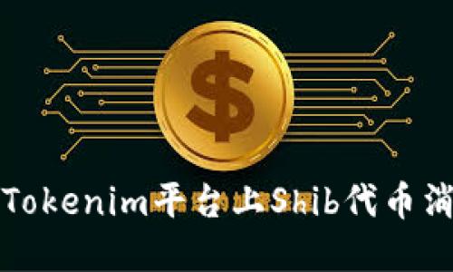 如何解决Tokenim平台上Shib代币消失的问题