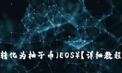 如何将Tokenim转化为柚子币