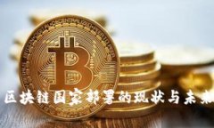 区块链国家部署的现状与