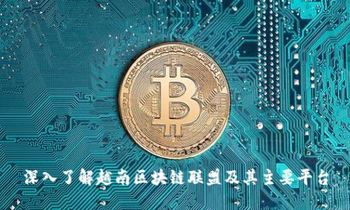 深入了解越南区块链联盟及其主要平台