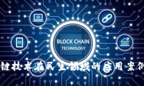 区块链技术在民生领域的应用案例分析