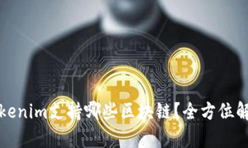 Tokenim支持哪些区块链？全方位解析