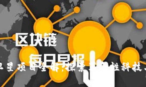 美国区块链卫星项目全解：探索革命性科技与太空的结合
