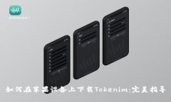 如何在苹果设备上下载T
