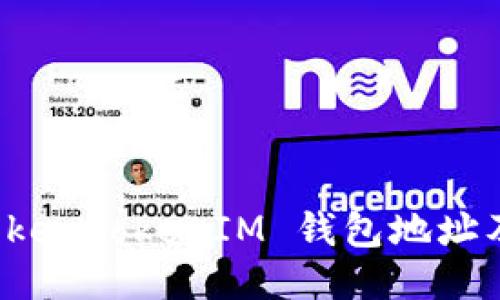如何查询 TokenTokenIM 钱包地址及其详细信息