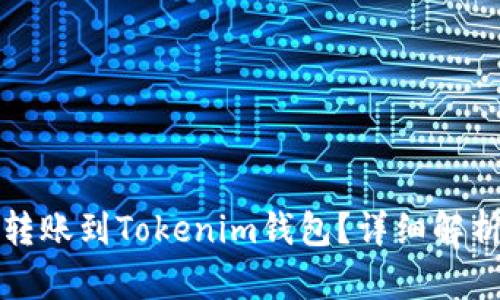 TP钱包能否转账到Tokenim钱包？详细解析与使用指南
