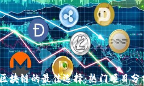 
2023年投资区块链的最佳选择：热门项目分析与未来趋势