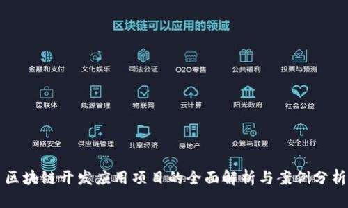 区块链开发应用项目的全面解析与案例分析