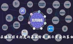 区块链项目烂尾的原因分