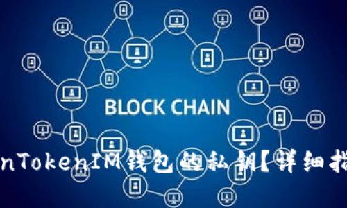 如何找回TokenTokenIM钱包的私钥？详细指南与解决方案