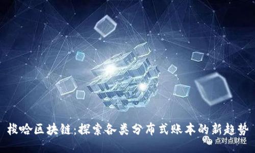 梭哈区块链：探索各类分布式账本的新趋势