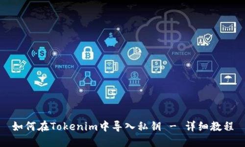 如何在Tokenim中导入私钥 - 详细教程