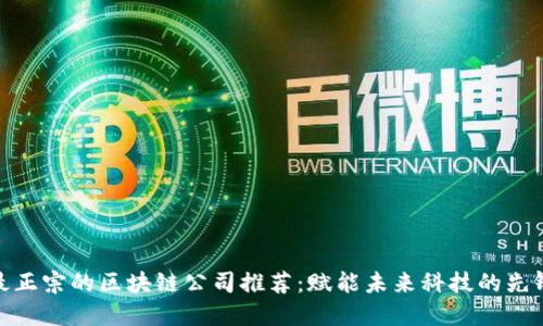 最正宗的区块链公司推荐：赋能未来科技的先锋