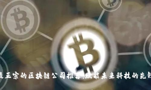 最正宗的区块链公司推荐：赋能未来科技的先锋