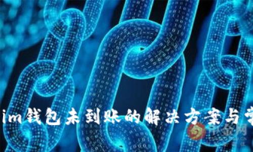Tokentokenim钱包未到账的解决方案与常见问题解析
