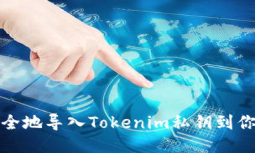 如何安全地导入Tokenim私钥到你的钱包