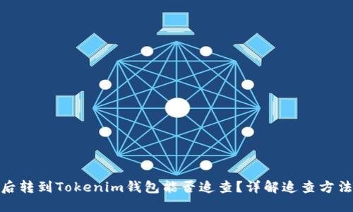 炒币被骗后转到Tokenim钱包能否追查？详解追查方法与可能性