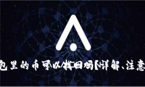 别人Tokenim钱包里的币可以找回吗？详解、注意事项与安全建议
