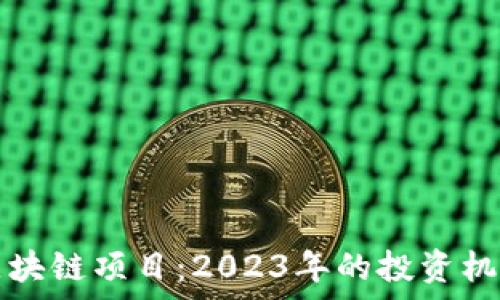  
即将上线的区块链项目：2023年的投资机会与趋势分析