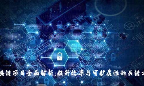 区块链项目全面解析：提升效率与可扩展性的关键方案