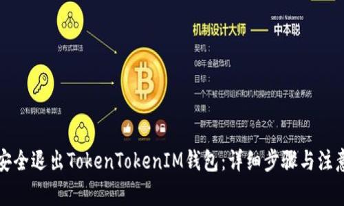 如何安全退出TokenTokenIM钱包：详细步骤与注意事项