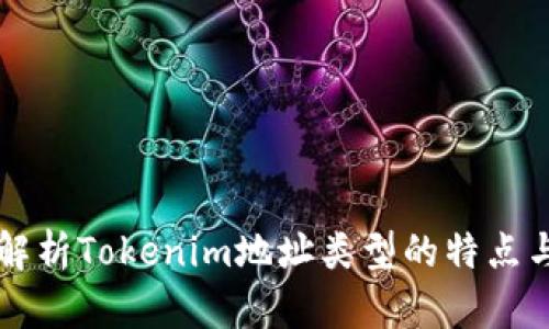 深入解析Tokenim地址类型的特点与应用