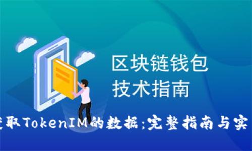 如何获取TokenIM的数据：完整指南与实用技巧