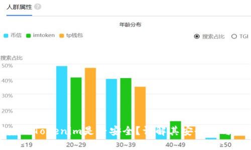 谷歌商店的Tokenim是否安全？详解其安全性与使用技巧