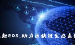 Tokenim重新映射EOS：助力区